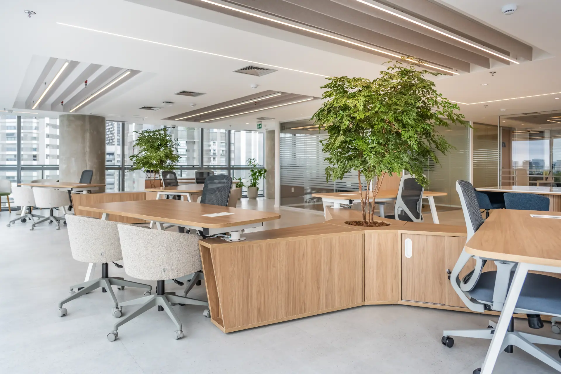 mauriciomoreno-almaviva-19