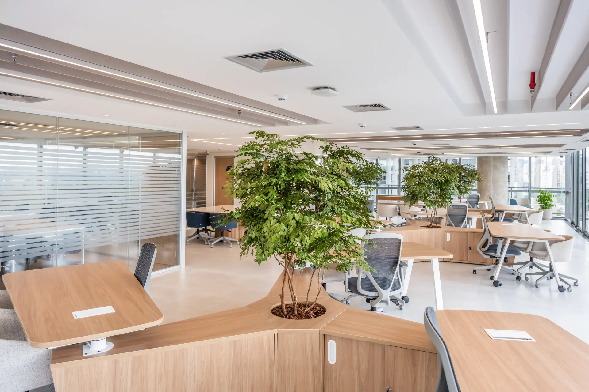 mauriciomoreno-almaviva-22